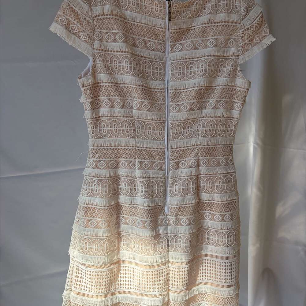 Eliza J Cream Lace Mini Dress